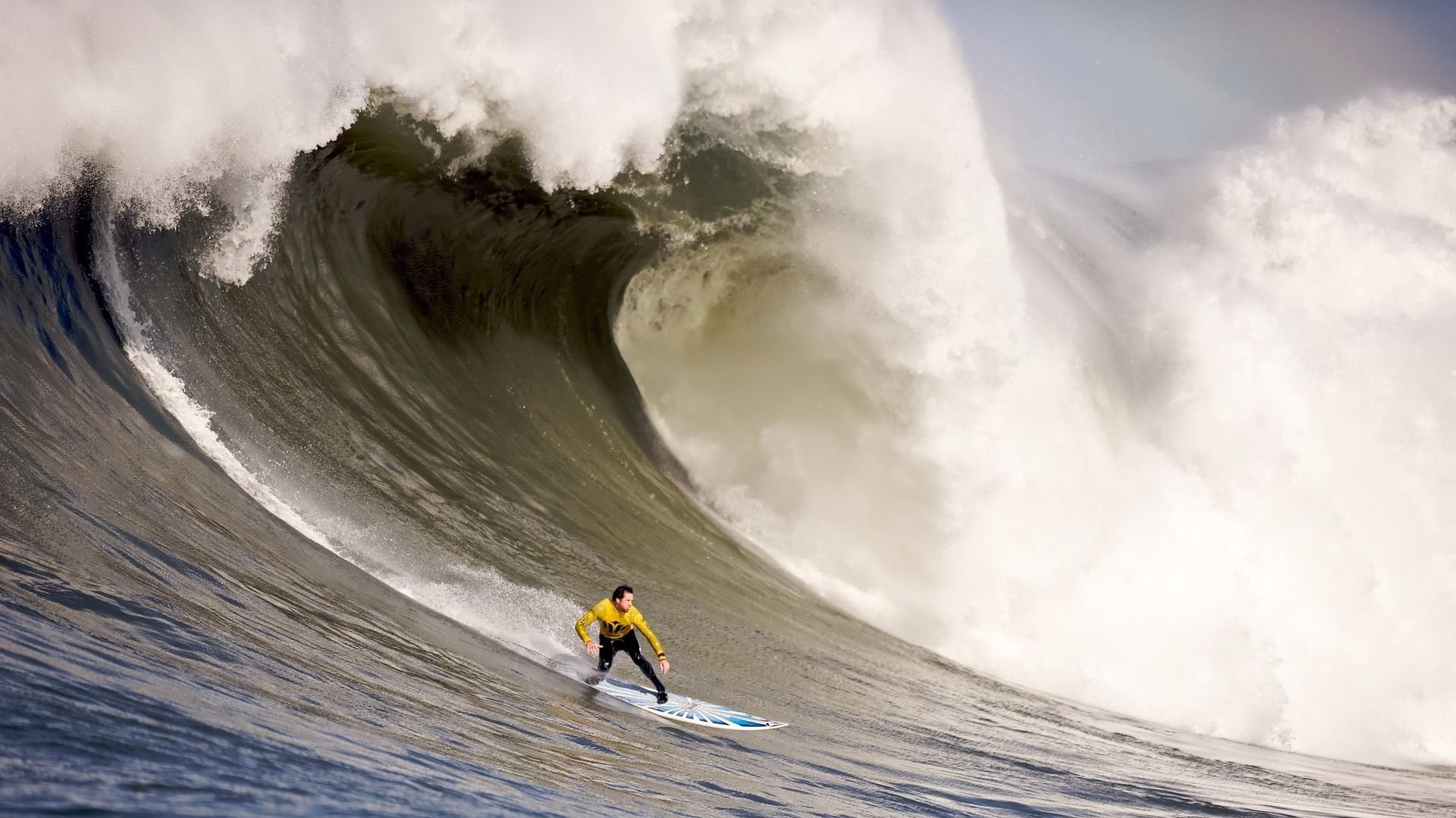 世界拳击职业联赛选手培训标准化推进,世界拳击理事会